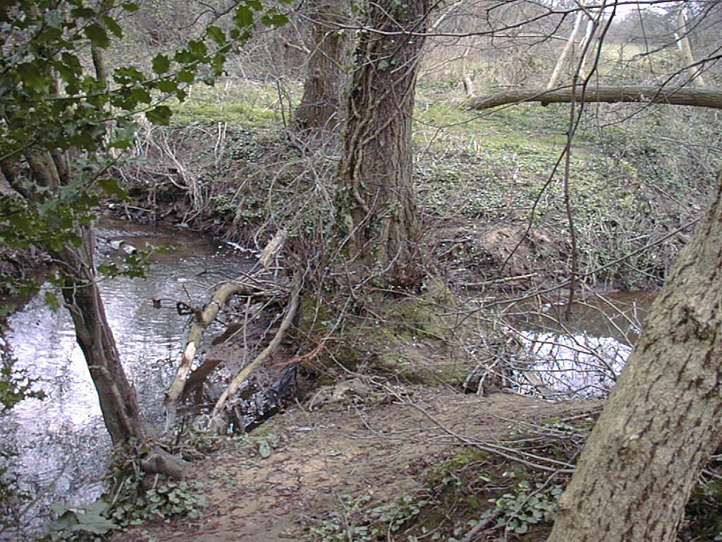 confluence with Pickford Brook